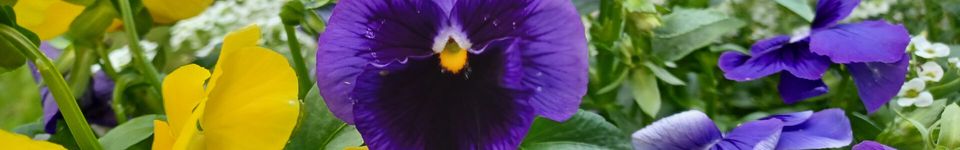 Bootstrap, an engineering exercise (part 2) image
